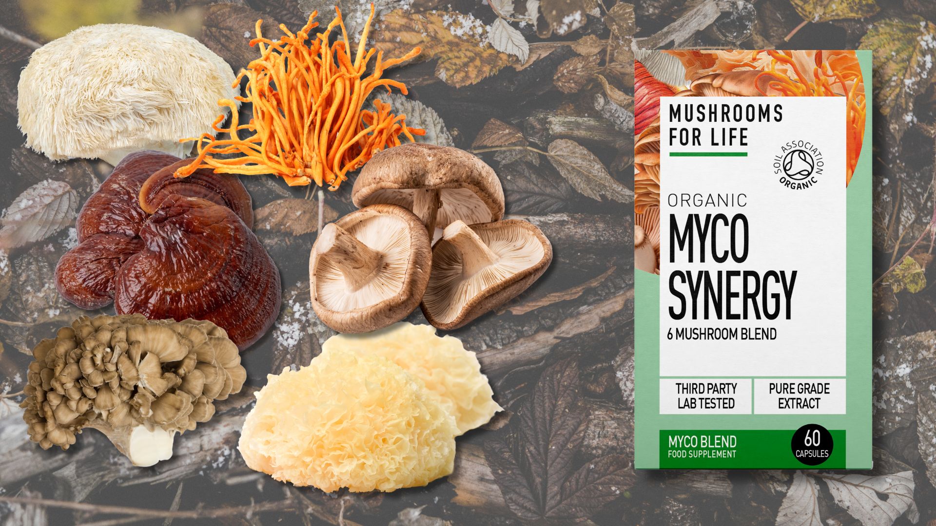mycosynergy kapsle